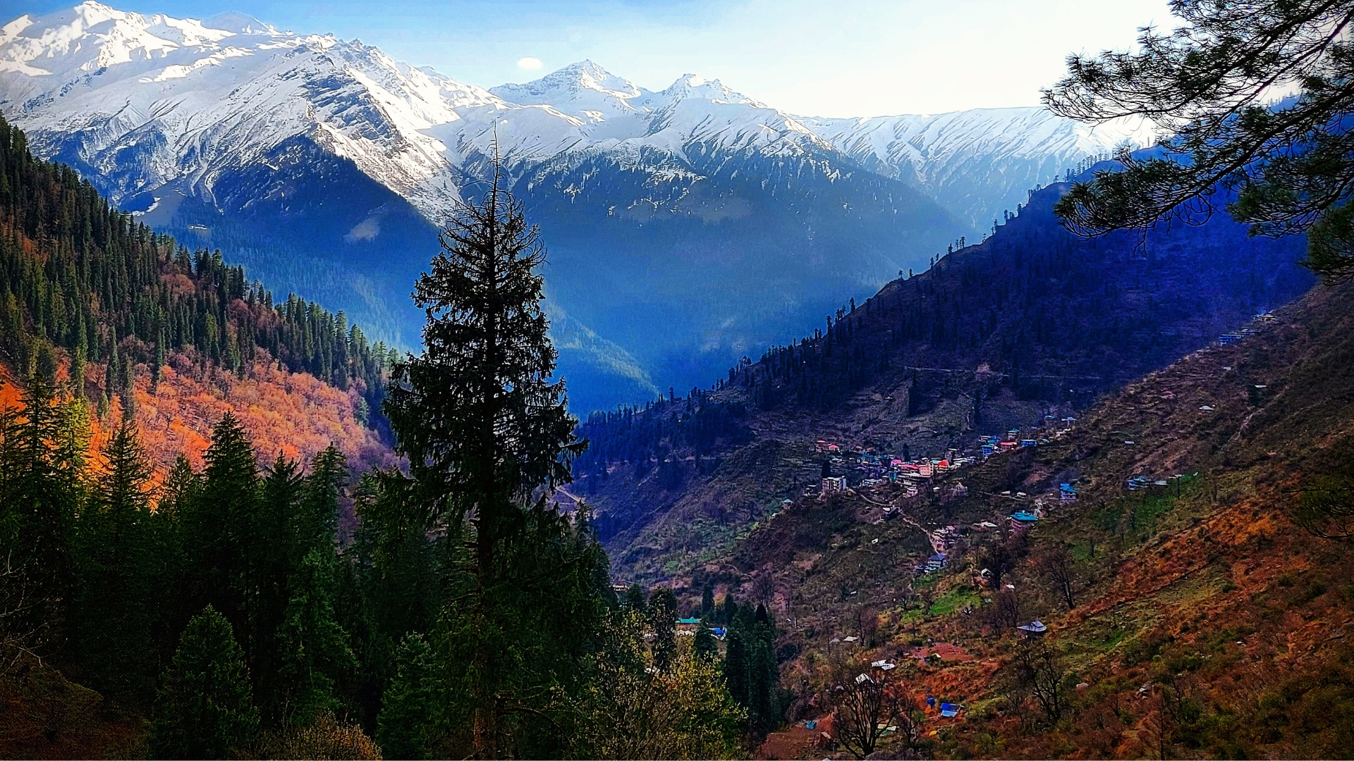 Kasol Riverside Camping Parvati Valley Experience